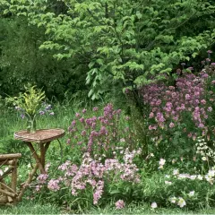 Ein rustikaler Holzstuhl und Tisch stehen vor einer üppigen, naturnahen Hecke mit rosa und weißen Blüten.