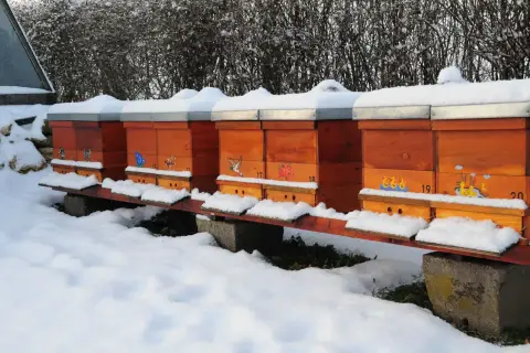 Bienenstöcke im Schnee. Die Bienen sind im Winter nicht aktiv, aber sie sterben nicht, sondern ruhen sich aus.