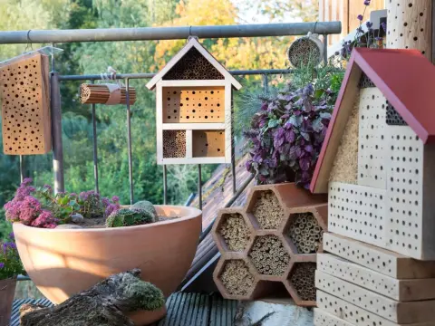 Wildbienen-Nisthilfen - Was wirklich hilft & was nicht!