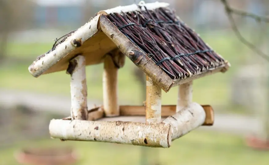 Vogelfutterhaus selber bauen - So wird es wirklich nützlich