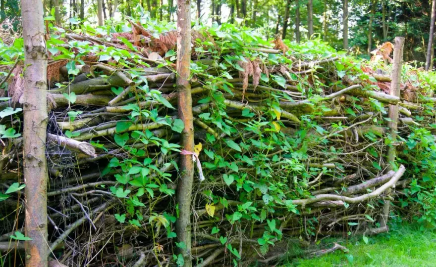 Benjeshecke anlegen - So gelingt der Naturgarten-Aufbau