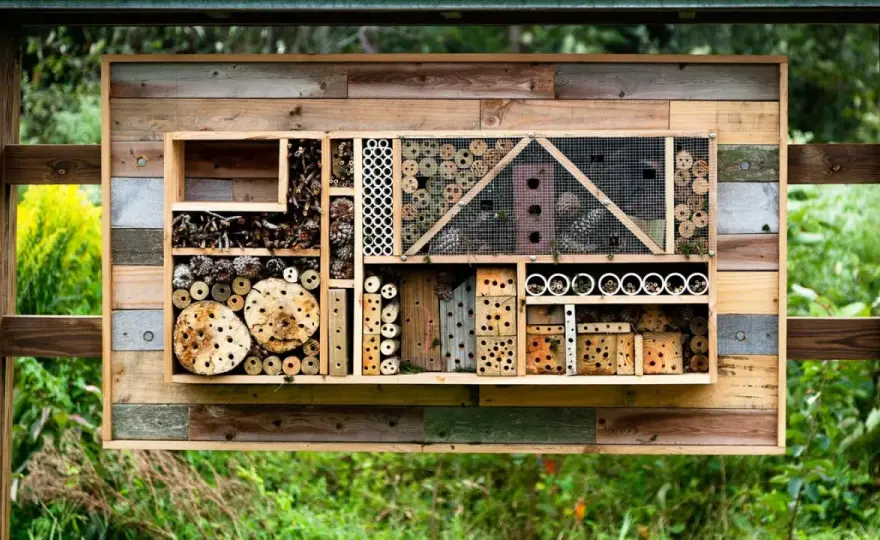 Insektenhotel selber bauen - So wird es wirklich nützlich