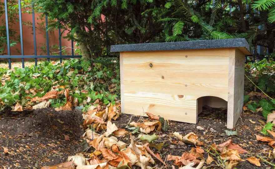 Igelnest bauen - So schaffst du ein sicheres Zuhause