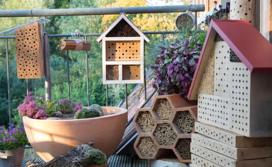 Wildbienen-Nisthilfen - Was wirklich hilft & was nicht!