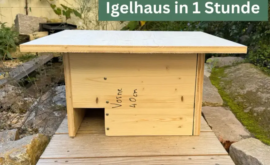 Igelhaus bauen - So gelingt ein sicheres Winterquartier