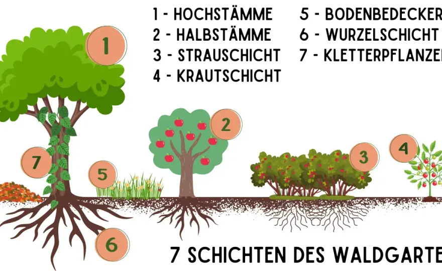 Waldgarten anlegen - Planung für Ertrag & Artenvielfalt