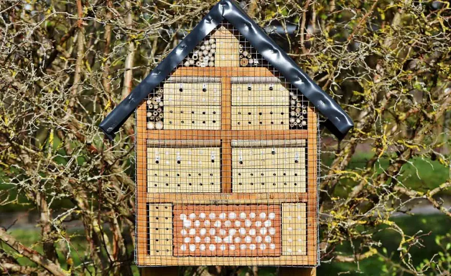 Insektenhotel - Der beste Standort für Wildbienen