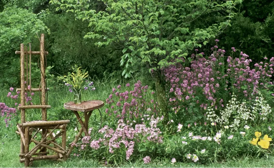 Naturnahe Hecke pflanzen – So wird dein Garten zum Biotop
