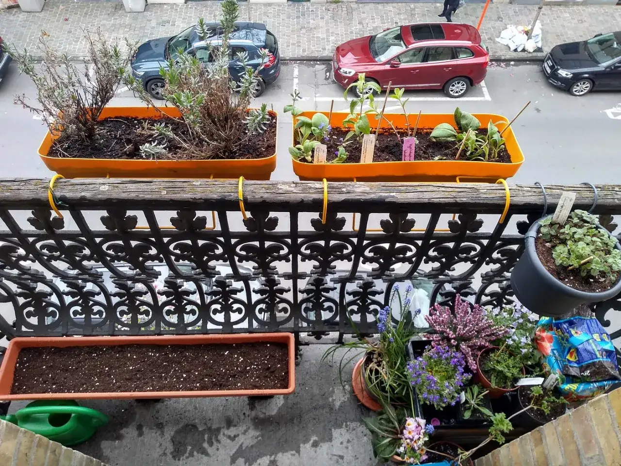 Balkon mit bienenfreundlichen Petunien und Kr&auml;utern. Lavendel und junge Pflanzen in orangen K&auml;sten, darunter bunte Blumen und ein leerer Kasten.