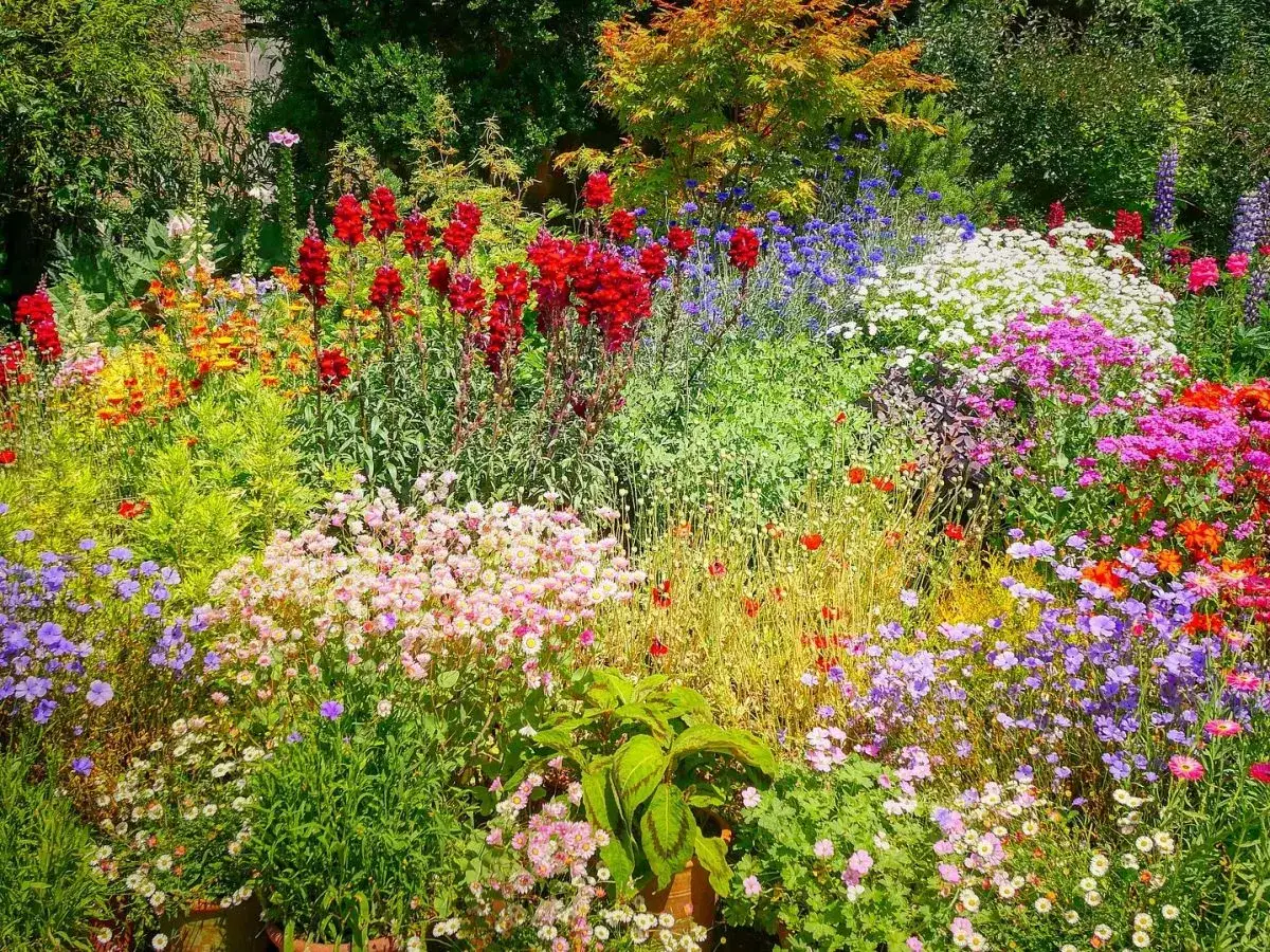 Ein üppiger Garten blüht in Rot, Blau, Rosa und Gelb. Hier gibt es keine Zeit für