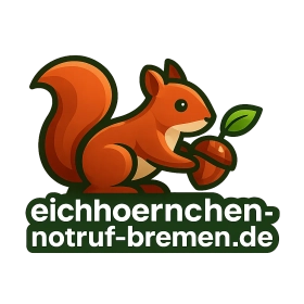 eichhoernchen-notruf-bremen.de